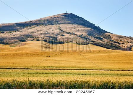 Steptoe Butte giallo verde grano campo Blue Skies Palouse Washington State