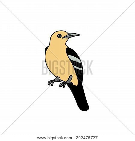 Vector Scandi Cartoon Animal Clip Art Iora Bird