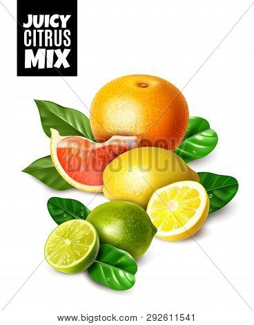 Realistic Illustration Of Fresh Citrus Fruits With Leaves