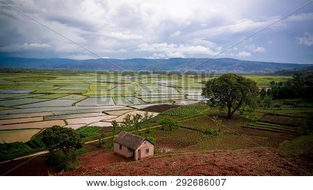 Landscape With The Rice Fields And Onive River At Antanifotsy In Madagascar