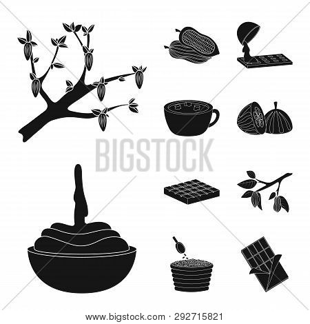 Vector Illustration Of Cooking And Brown   Icon. Set Of Cooking And Beans Vector Icon For Stock.
