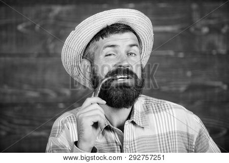 Bearded Farmer Hold Pepper In Hand. Pepper Harvest Concept. Rustic Farmer In Straw Hat Likes Spicy T