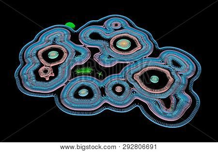 Virus Attached To Cell Outer Membrane And Its Rna Spreading Inside The Cell, 3d Rendering