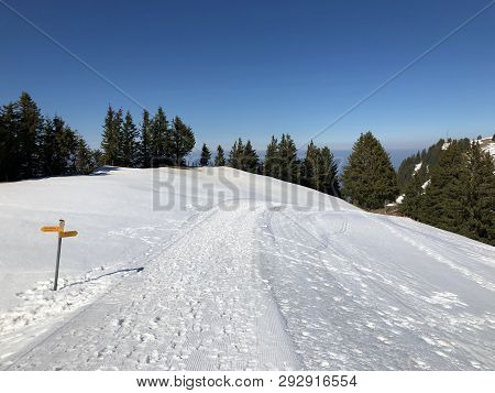 Rigi Staffel Skiing Area Or Skifahren Rigi Staffel Near Lake Lucerne (vierwaldstättersee) And Lake Z