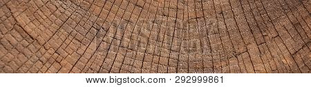 vintage grunge background with cracked old wood texture with 3D effect, Tree rings, Dendrochronology