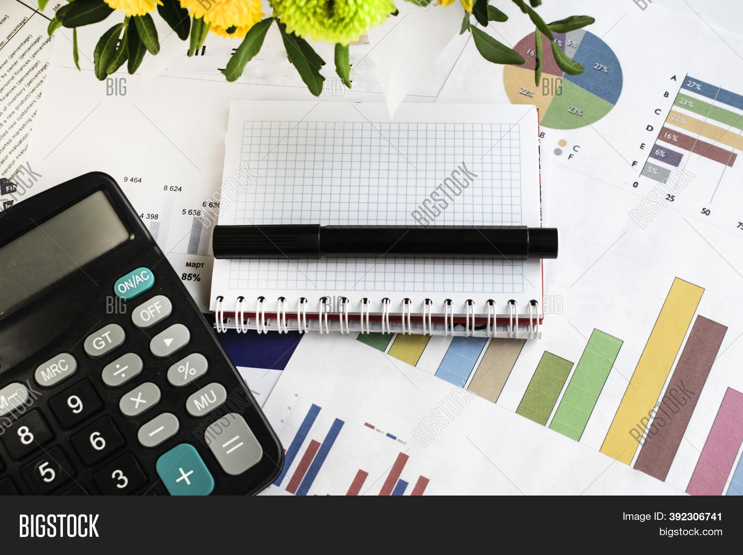 Financial Documents Image & Photo (Free Trial) Bigstock