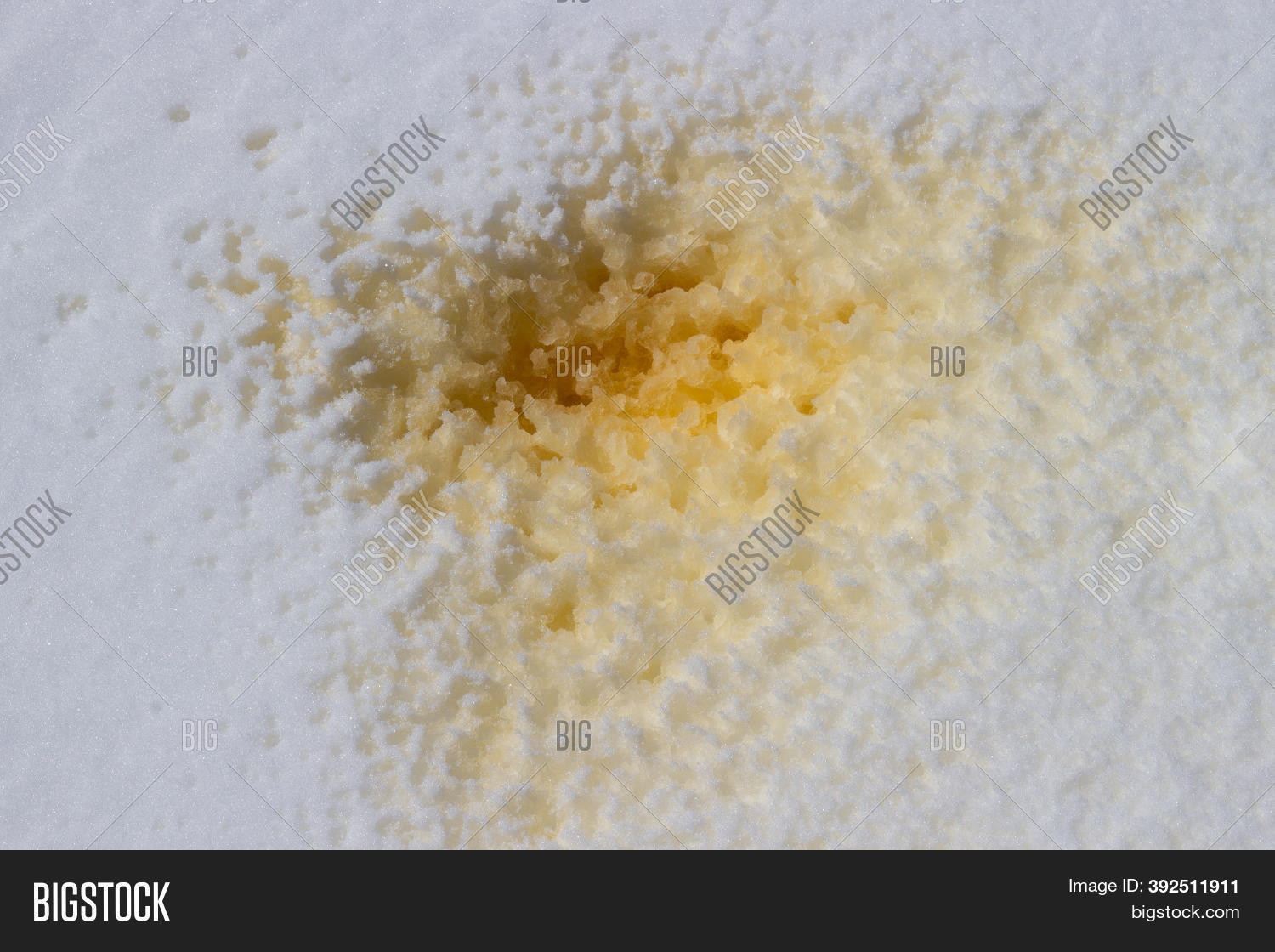 Yellow Urine Fresh Image & Photo (Free Trial) Bigstock