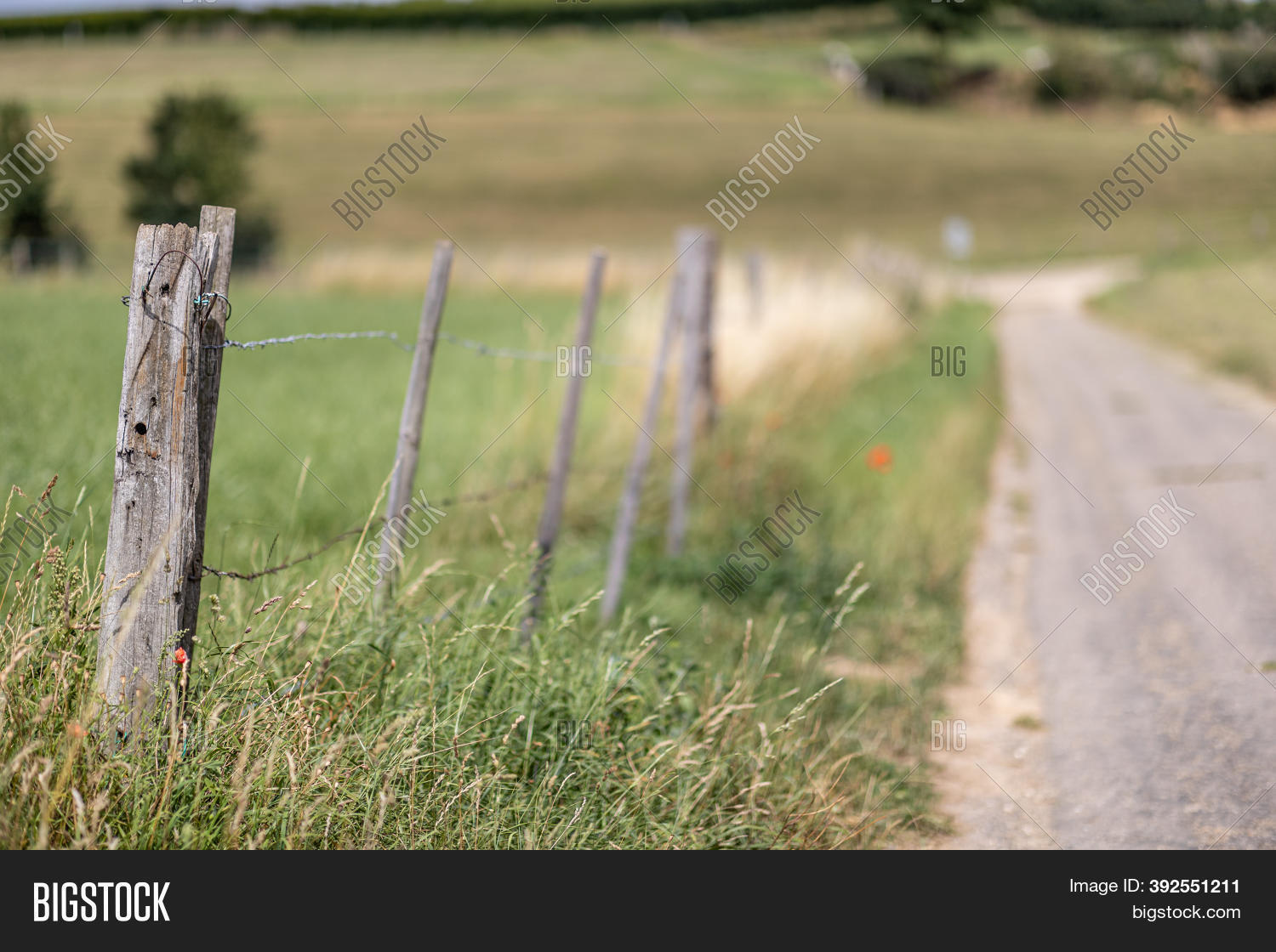 Small Wooden Pole Image & Photo (Free Trial) | Bigstock