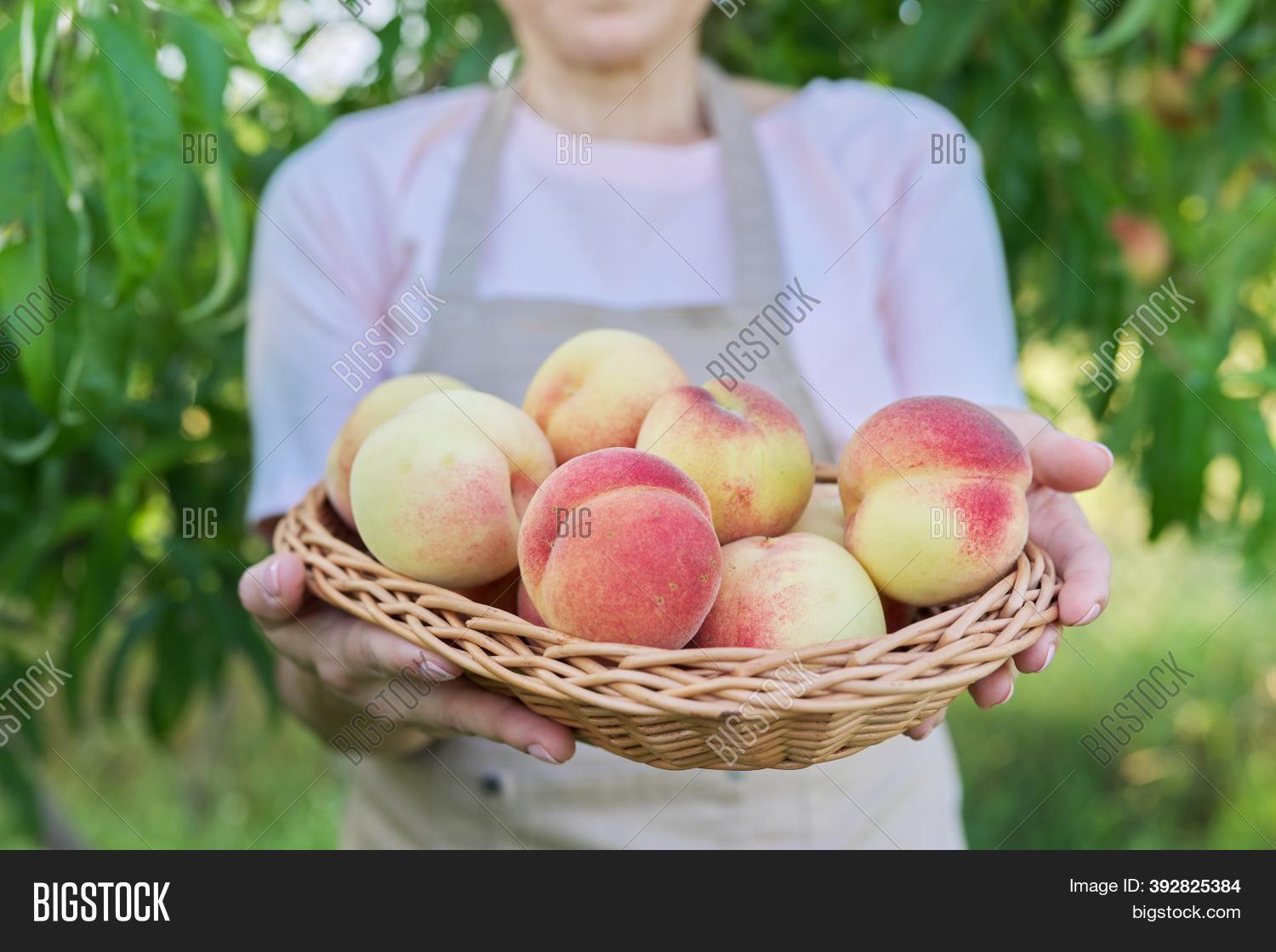 Fresh Ripe Peaches Image & Photo (Free Trial) | Bigstock