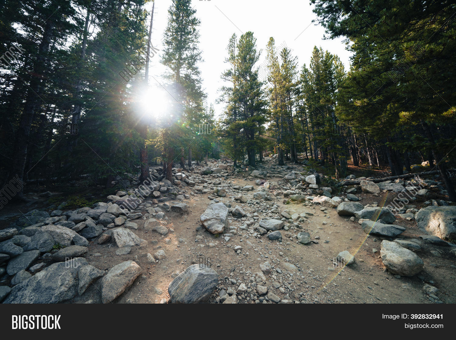 Very Rocky Trail Image & Photo (Free Trial) | Bigstock