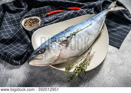 Fresh Whole Japanese Amberjack. Raw Fish Yellowtail. Gray Background. Top View