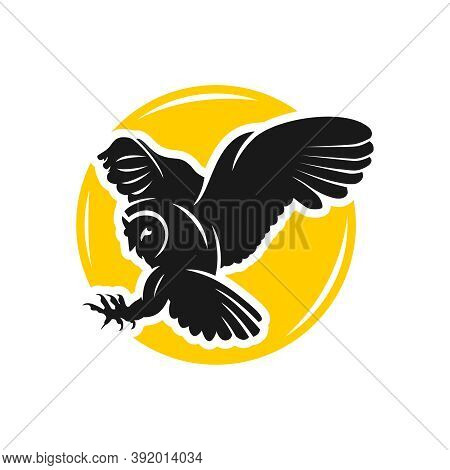 Owl Logo Design With Circles Or Brand