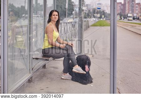 White Woman With Briard Near Her Waits For Tram On Public Transp