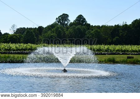 Clinton, Ct - Jul 4: Chamard Vineyard In Clinton, Connecticut, As Seen On July 4, 2020.
