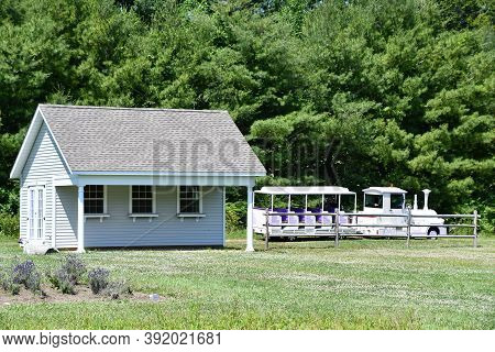 Killingworth, Ct - Jul 4: Lavender Pond Farm In Killingworth, Connecticut, As Seen On July 4, 2020. 