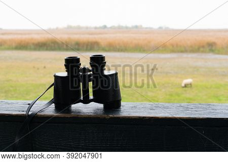 Binoculars Of A Hunter On A Shooting Range. Silent Free Nature And Animal In The Wildnerness.