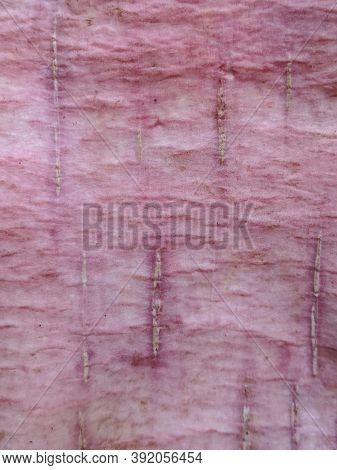 Cassava Inner Bark Texture, Top View Shot