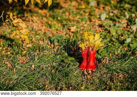 Red Kids Gumboots With Yeallow Leaves Inside. Autumn Coziness With Foliage Inside The Boots. Golden 