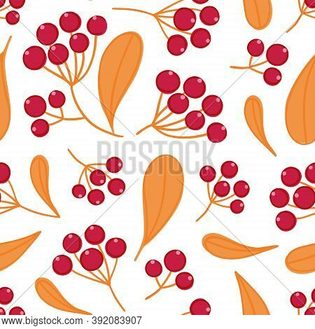 Floral Seamless Pattern With Panicles Of Berries. Colorful Repeating Background With Plant. Design F