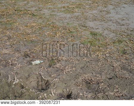 A Dramatic Landscape Of A Dry Lake. Dry Bottom Of A Dried-up Lake In Large Cracks. Conceptually: Env