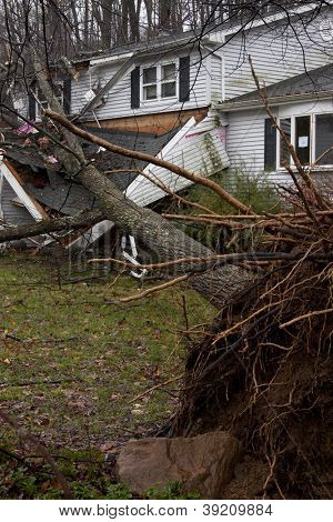 ANDOVER, NJ - Ekim 30: bir ev ön sundurma üzerinde kasırga Sandy sonra döşeme bir sökülüp ağaç