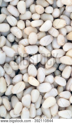 Many Cedar Nut  At Dry Sunny Summer Day