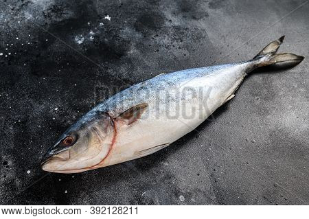 Raw Japanese Yellowtail. Fresh Fish Amberjack. Black Background. Top View