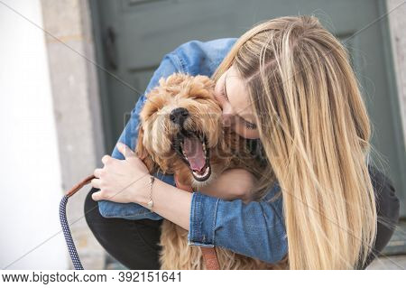 Labradoodle Dog And Woman Outside On Balcony