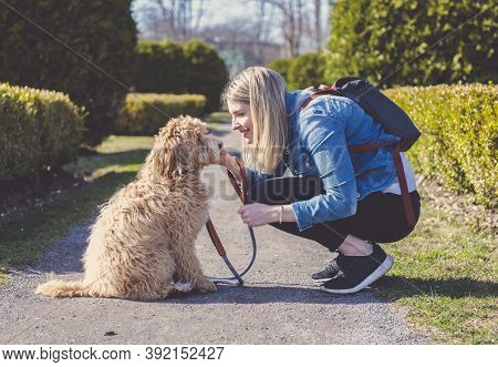 Happy Labradoodle Dog And Woman Outside At The Park