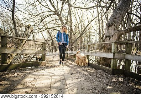 Happy Labradoodle Dog And Woman Outside At The Park
