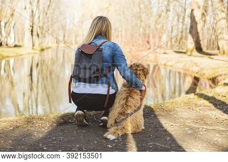 Labradoodle Dog And Woman View From Back Outside At The Park
