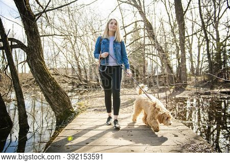 Happy Labradoodle Dog And Woman Outside At The Park