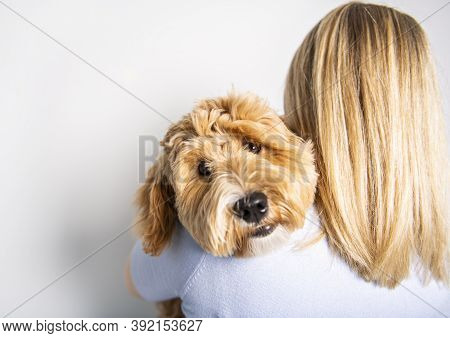 Woman With His Golden Labradoodle Dog Isolated On White Background