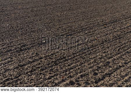 Freshly Plowed Spring Field For Planting Vegetable Seeds. The Furrows Extend Diagonally Into The Dis