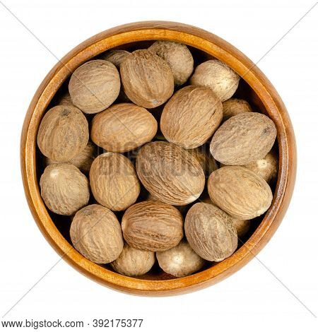 Dried Whole Nutmegs In A Wooden Bowl. Fragrant Or True Nutmeg, Seed Of Myristica Fragrans With Disti