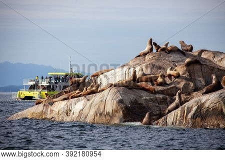 The Prince Of Whales Eco-tourism Whale Watching And Wildlife Adventure Catamaran Boat Brings Tourist