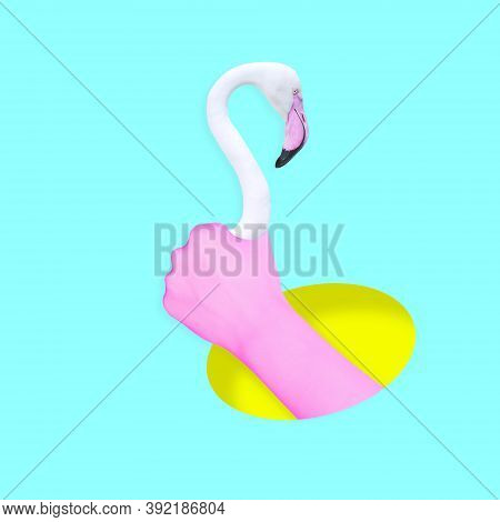 Contemporary Collage. A Mans Hand Appears From The Hole Holding A Flamingo Bird.
