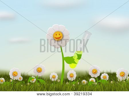 Biokraftstoff