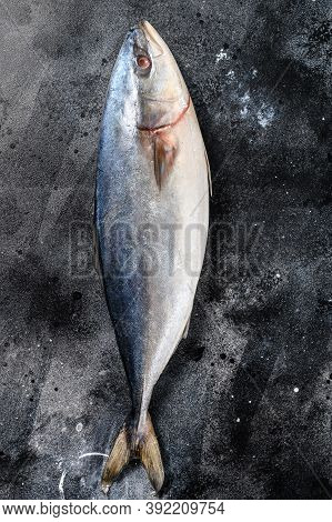 Fresh Whole Raw Japanese Yellowtail. Fish Amberjack. Black Background. Top View