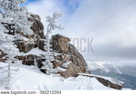 View Of Ski Resort Sheregesh From Utya Mountain. Snowdrifts And Snow-covered Trees In Fluffy Snow, S