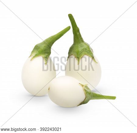 Thai Eggplant Or Solanum Xanthocarpum Schrad. & Wendl