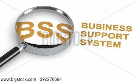 Bss, Business Support System, Word Under Magnifying Glass, 3d Rendering