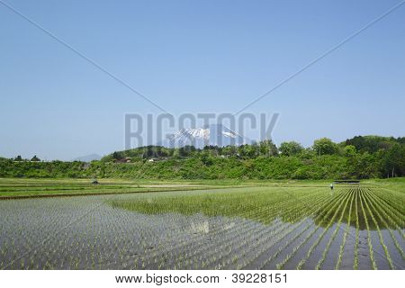 Mt.Iwate i duszpasterskiej krajobrazu
