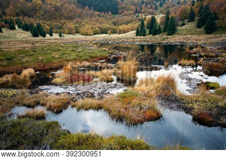 Scenic autumn view of small lake at Roosterâs Ridge, Gutaiului Mountains, Romania.