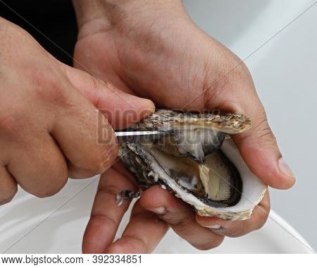 Shuck Oyster With Sharp Knife With Nbare Hands In Close Up