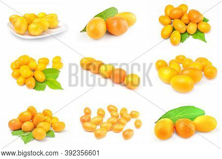Set Of Cumquats Isolated On A White Background