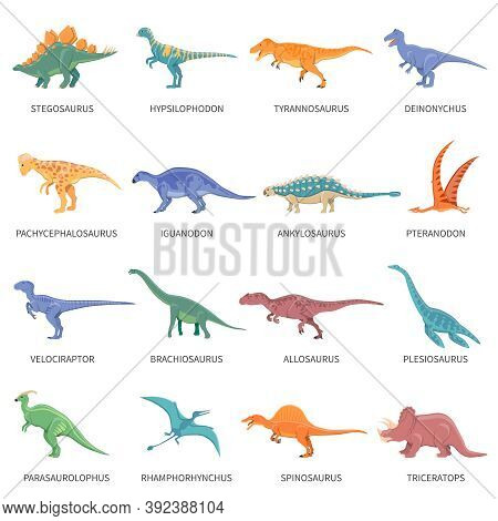 Colored Isolated Icons Set Of Different Types Of Dinosaurs In Cartoon Style With Name Of Class Or Ki