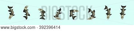 Set Of Barracuda Fish Cartoon Icon Design Template With Various Models. Vector Illustration Isolated
