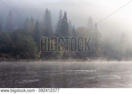 Foggy Autumn Morning On The Vilva River