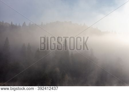 Foggy Autumn Morning On The Vilva River
